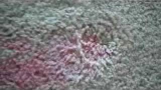 How To Remove A Red Kool Aid Stain From Carpet - Fast & Easy