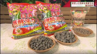 安定した効果を発揮する園芸肥料日清ガーデンメイト「日清醗酵油かす　2kg」小粒、中粒「日清　野菜の肥料　粒状500ｇ」　　DO!エイトユアセルフ（3月27日OA)