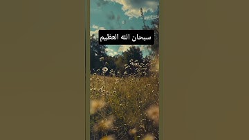القرآن الكريم/تلاوة خاشعة/ترتيل #المصحف #القرآن_الكريم #ترتيل_خاشع #تلاوة_خاشعة #الذكر #راحه_نفسية