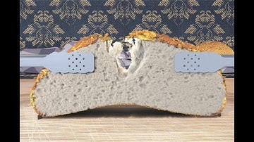 (SIGGRAPH 2019) CD-MPM: Continuum Damage Material Point Methods for Dynamic Fracture Animation