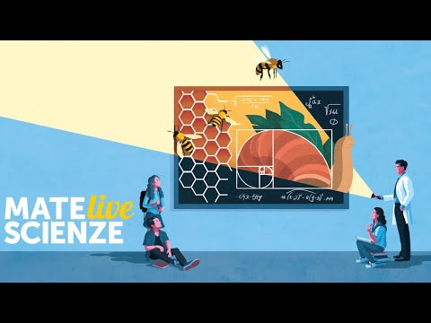 Video: Un Modello Matematico Per Una Macchina Del Tempo - Visualizzazione Alternativa