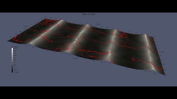 Windrows Forming over Spilling Breaking Waves