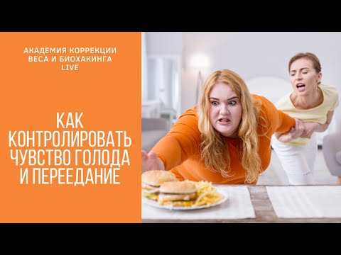 Видео: Можете ли да храните кучето си с вегетарианска диета?