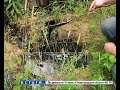 Нелегальная свалка химических отходов обнаружена в борском лесу