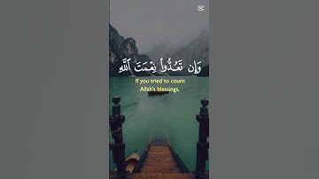 قران كريم بصوت القارئ الشيخ محمّد الصديق المنشاوي #اكسبلور #المصحف