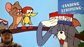 Tom And Jerry - Landing Stripling 1962 - First Time Watching Can Tom Outwit Jerry And The Bird?