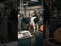 Animal Freedom #luckxane #rap #DreamScreenAI