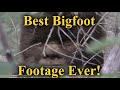 Best Bigfoot Video of All Time. #1 Sasquatch footage