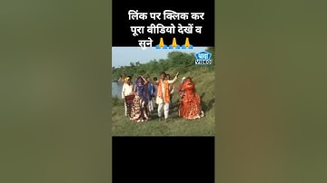 मेनपानी की देशी दिवारी//गऊओ की पूजा करो प्यारे //राजू पटेल, धनीराम #song #dance