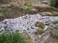 僕たちの行方 (2)