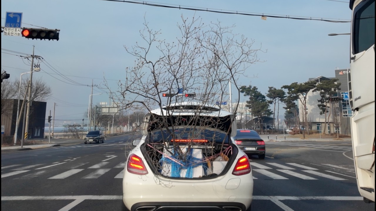 I had so many questions..