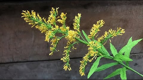 ABC TV | How To Make Goldenrod Flower From Crepe Paper - Craft Tutorial