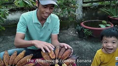 Cách phân biệt các loại chuối - How to identify banana varieties in Vietnam