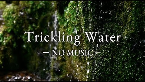 Thumbnail of - NO MUSIC - 3 Hours of  Pure Trickling Water Sounds