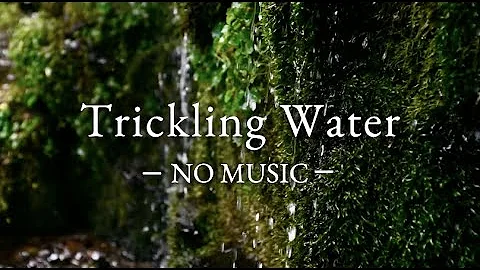 - NO MUSIC - 3 Hours of  Pure Trickling Water Sounds