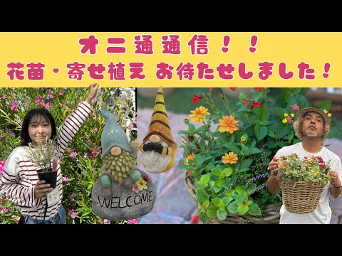 オニ通通信】お待たせしました！花苗・寄せ植え・可愛すぎる
