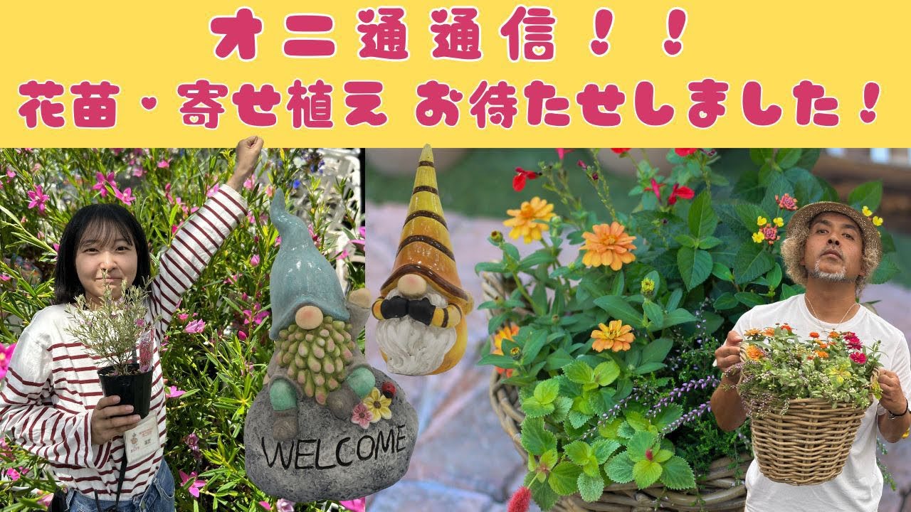 オーダー寄せ植えご相談ページ オーダー寄せ植え5000円 | 寄せ植え お花のプレゼント