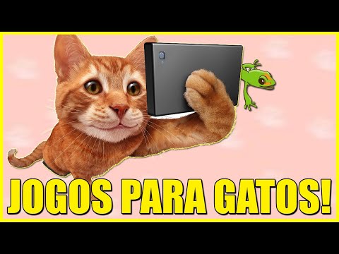 WhatsApp do Gato - Joguinhos para gatos (que na realidade não são joguinhos)  😂😻🤗 #Curta a nossa página