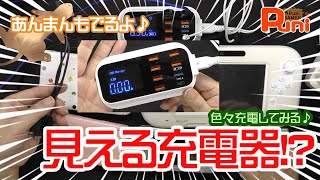 【紹介】電圧、電流が見えるUSB充電器を買ってみたぞ！安い割にはよくできている気がする！あんまんはしゃぐ！【QC・TYPE-C・フェレット】