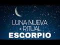 ESCORPIO LUNA NUEVA 🌙 + RITUAL…TUS PASOS TE LLEVAN A TUS DESEOS!!!…➡️➡️☀️