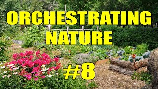 Raised Garden Beds on a Budget | Orchestrating Nature #8