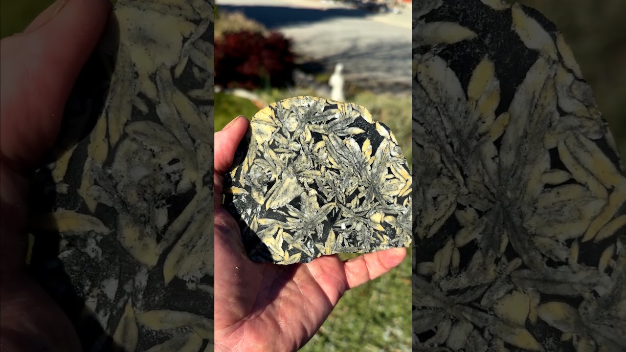 What is inside?