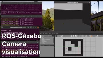 ROS Gazebo camera view