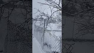 Зимушка на Кубани.