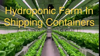 Hydroponic Farm In Shipping Containers
