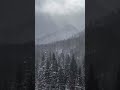 Kar Yağışı - Snow Fall #snow #asmr #nature #snowfall