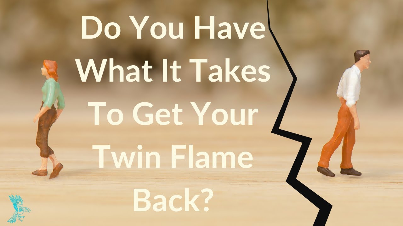 Twin Flames ~ Do You Have What It Takes To Get Your Twin Flame Back? 🫣 ...