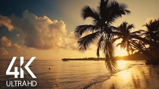 KEY WEST, USA 4K Walking Tour 🌞 The HIDDEN GEM Of FLORIDA