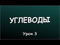 Урок 3. Сколько следует употреблять углеводов?