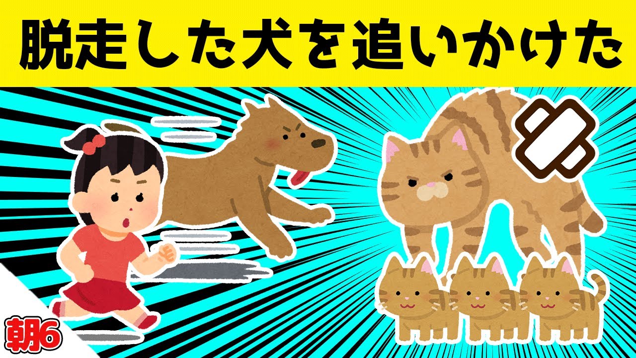 脱走した愛犬を小学生が追いかけた結果ｗｗｗ