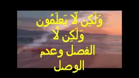 دورة دقائق الحون سورة البقرة من ١١ الى ١٥ د جمال القرش