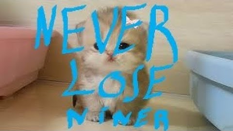 #cs2 Neverlose.cc HvH Highlights | meow