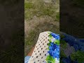 Kacrochê na praia de Guaratuba/ PR