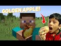 Minecraft but i do everything in real life