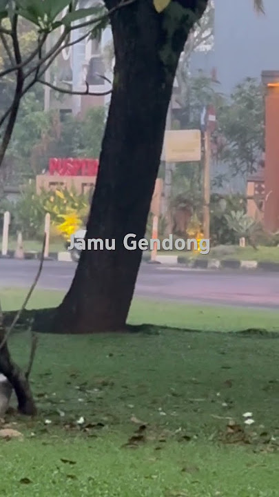 Jamu Gendong