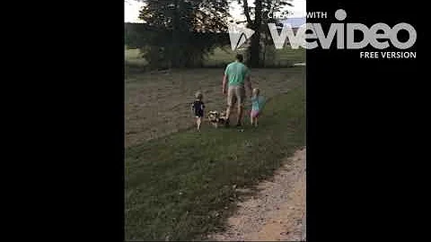 Soybean Fun // Country Living // Farming // Twin L...