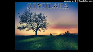 Miniatura de vídeo de "Tongan Song - Simulata"