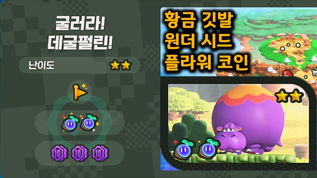 플라워 코인 (95) 사진