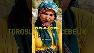 Toroslarda Yörük Hayatı: