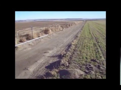 Say goodbye to gophers for good. How to control gophers.