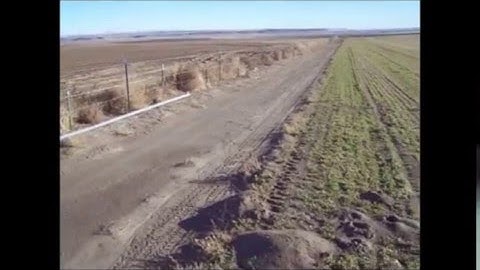 Say goodbye to gophers for good. How to control gophers.