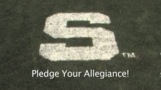 Michigan State Lawn Logo™ Details