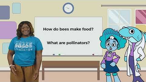 Unit 3 To Bee or Not To Bee   Lesson Video 1
