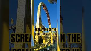 Screaming On The Rollercoaster