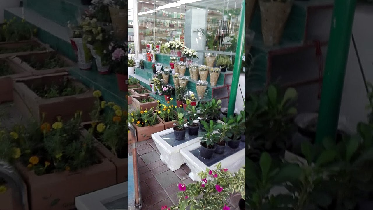 Florenza flower garden YouTube