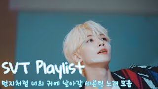 [ 𝐒𝐕𝐓 𝐏𝐥𝐚𝐲𝐥𝐢𝐬𝐭 ] 🦋 먼지처럼 너의 귀에 날아갈 노래 · 청량틴 · 더울때 듣기 좋은 청량한 세븐틴 플레이리스트 🩵